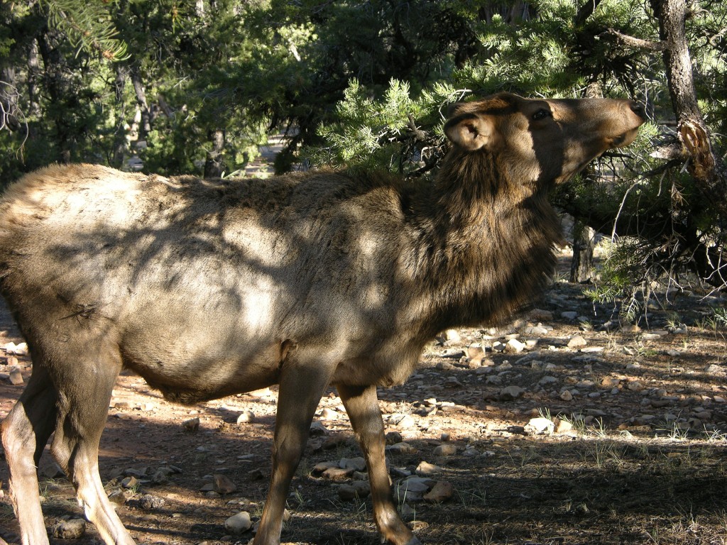 dscn2572.jpg