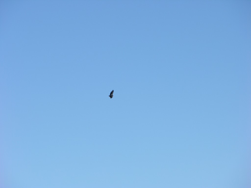 dscn2585.jpg