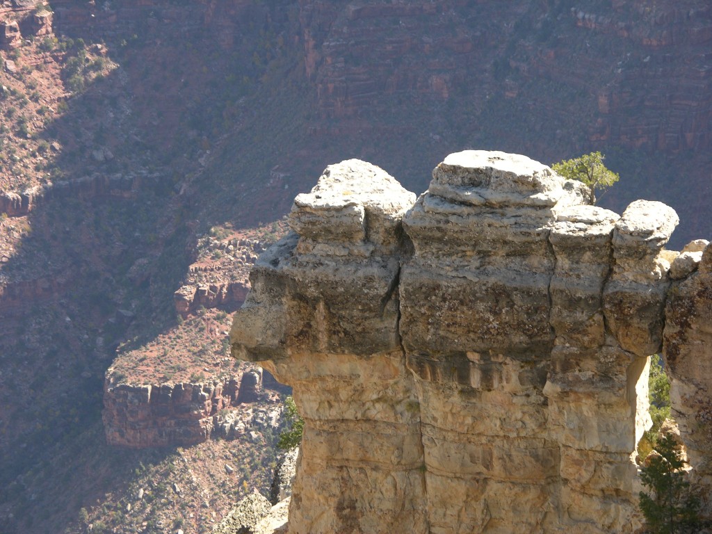 dscn2590.jpg
