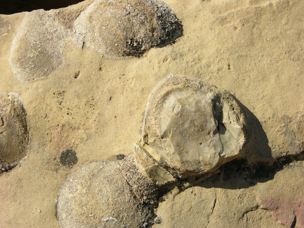 dscn2596.jpg