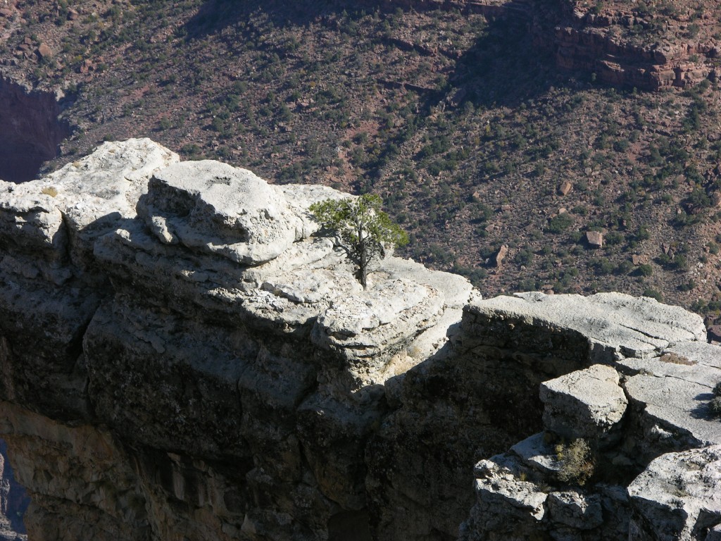 dscn2599.jpg