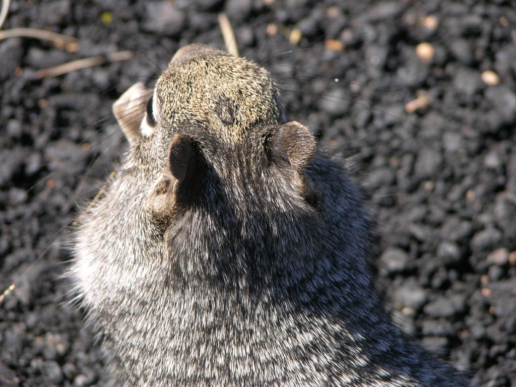 dscn2608.jpg