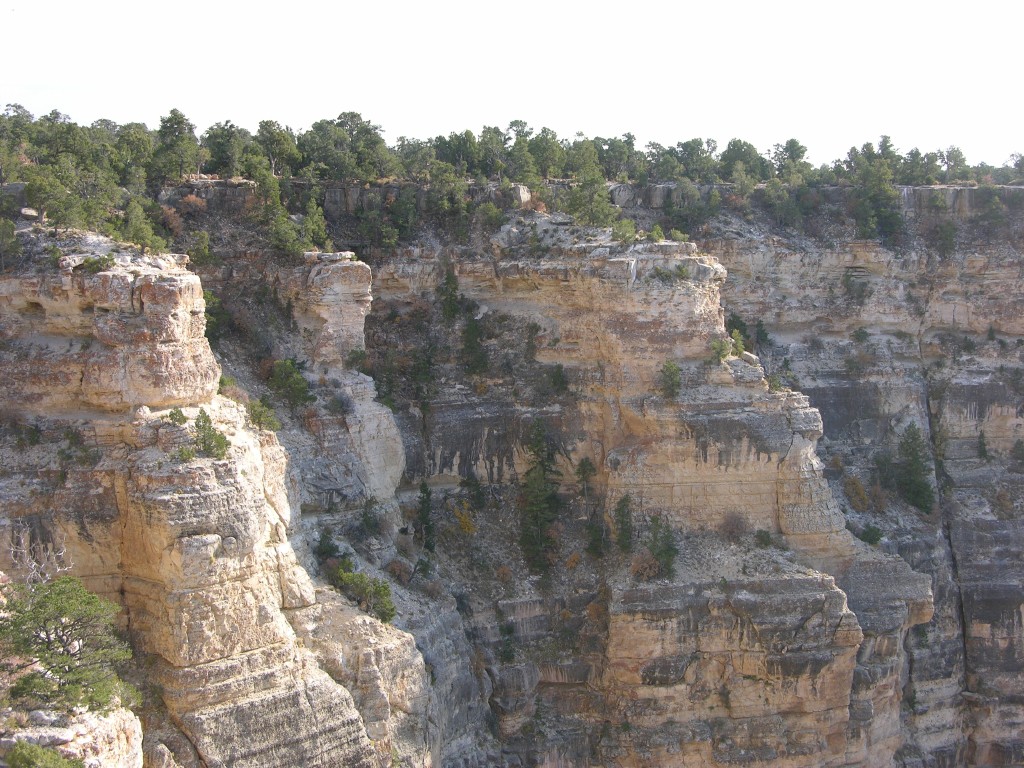 dscn2614.jpg