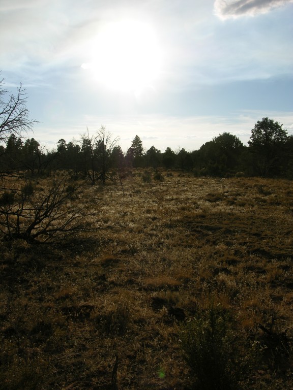 dscn2627.jpg