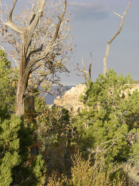dscn2632.jpg