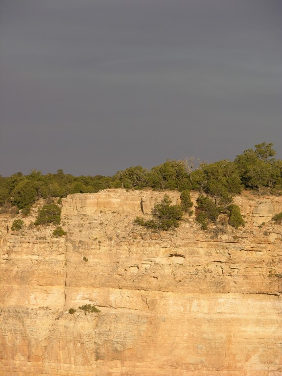 dscn2638.jpg