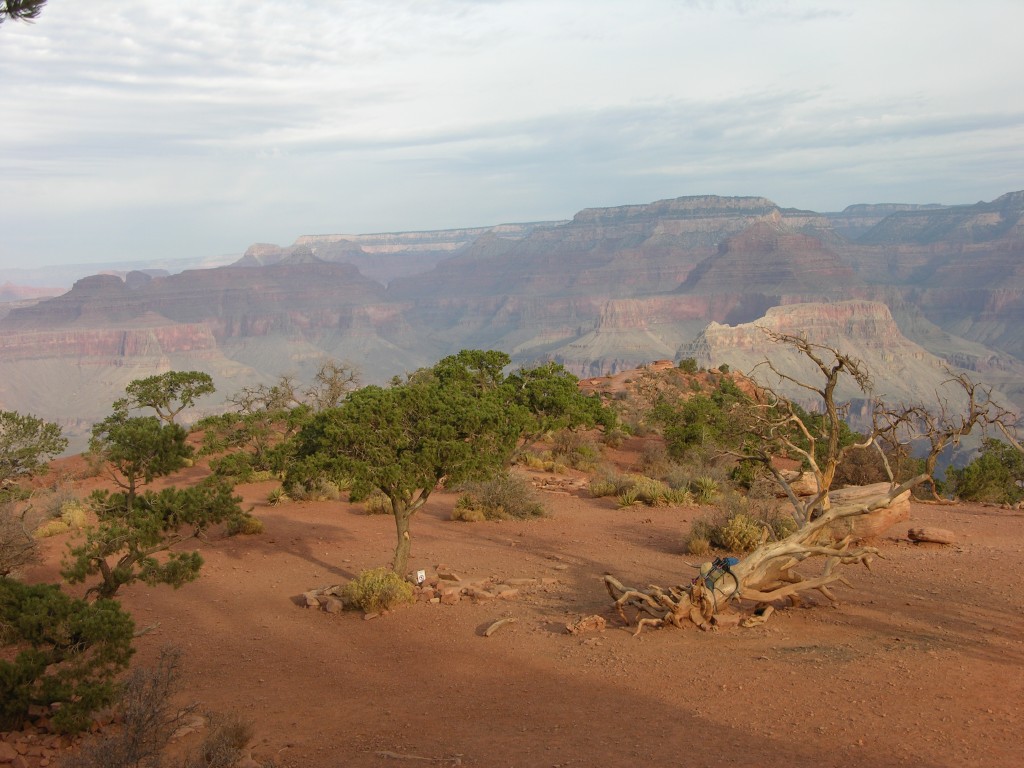 dscn2643.jpg
