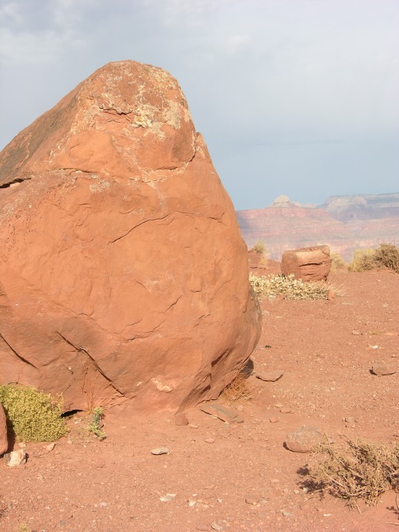 dscn2646.jpg