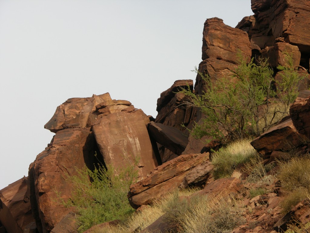 dscn2653.jpg