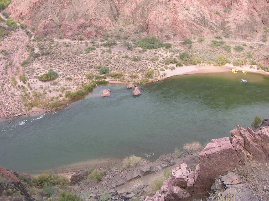 dscn2659.jpg