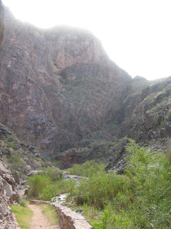 dscn2664.jpg