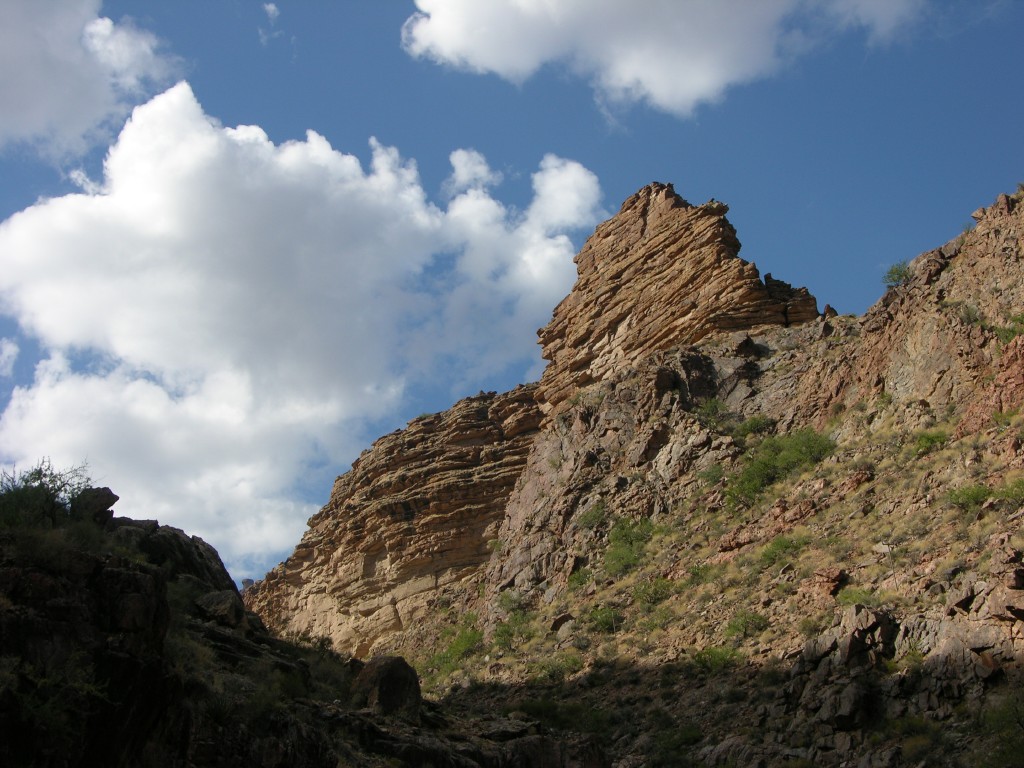dscn2666.jpg