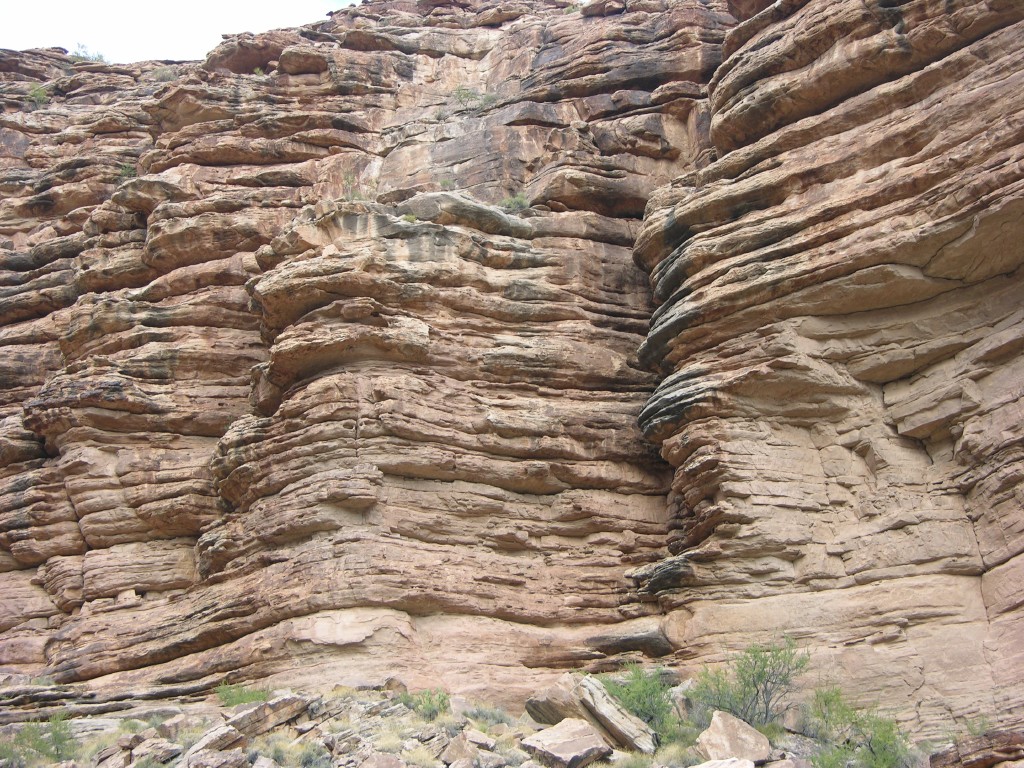 dscn2668.jpg