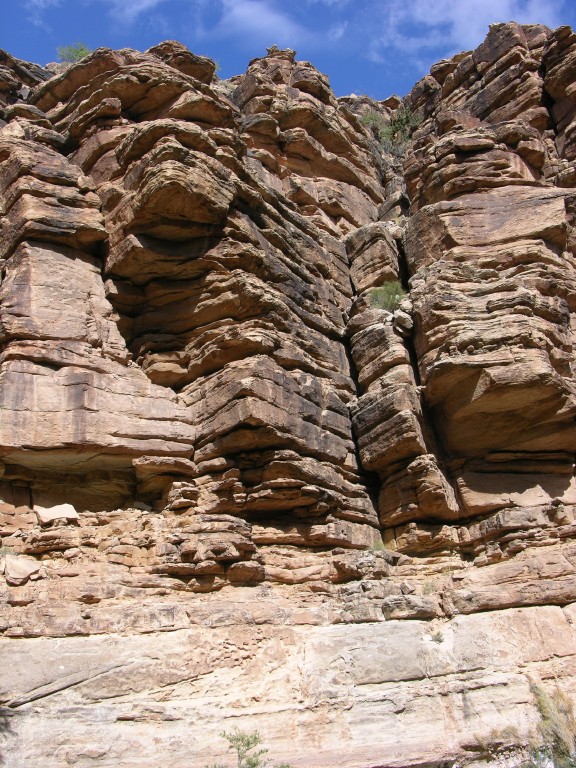 dscn2669.jpg