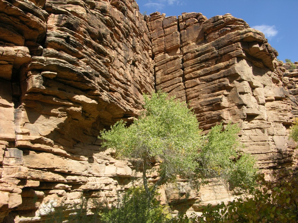 dscn2671.jpg