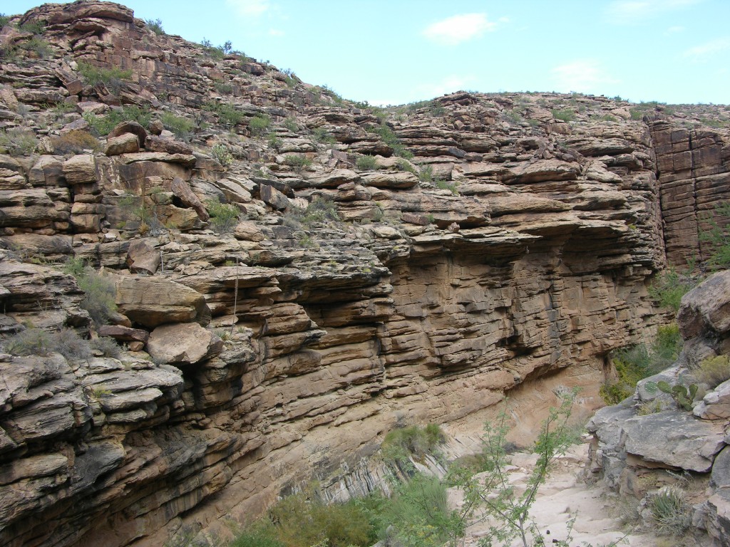 dscn2672.jpg