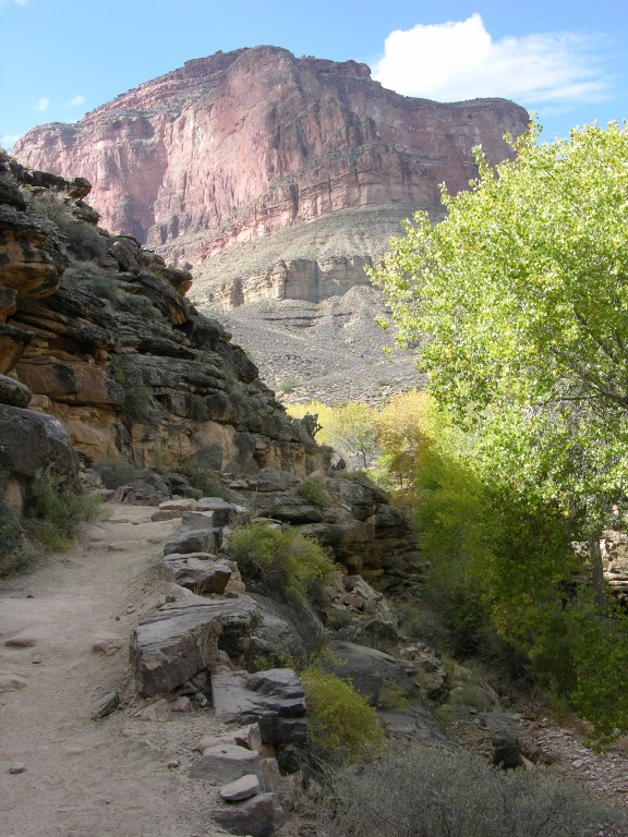 dscn2673.jpg