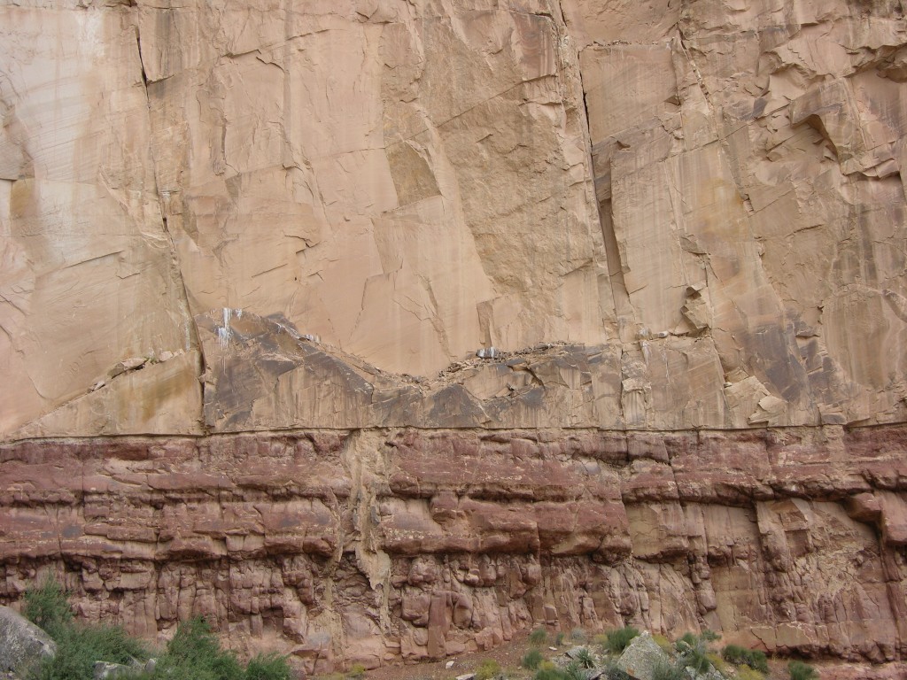 dscn2676.jpg