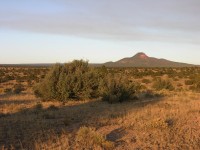 dscn2555.jpg