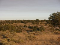 dscn2556.jpg