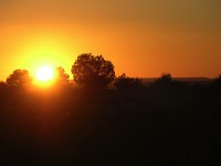 dscn2561.jpg