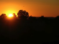 dscn2563.jpg