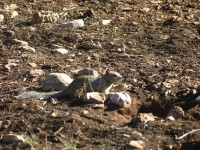 dscn2577.jpg