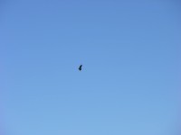 dscn2585.jpg