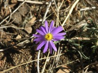 dscn2593.jpg