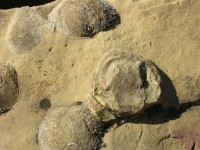 dscn2596.jpg