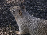 dscn2612.jpg