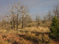 dscn2626.jpg