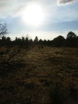 dscn2627.jpg