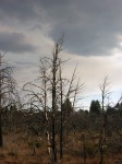 dscn2628.jpg