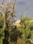 dscn2632.jpg