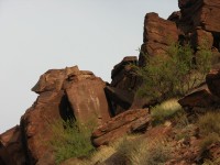 dscn2653.jpg