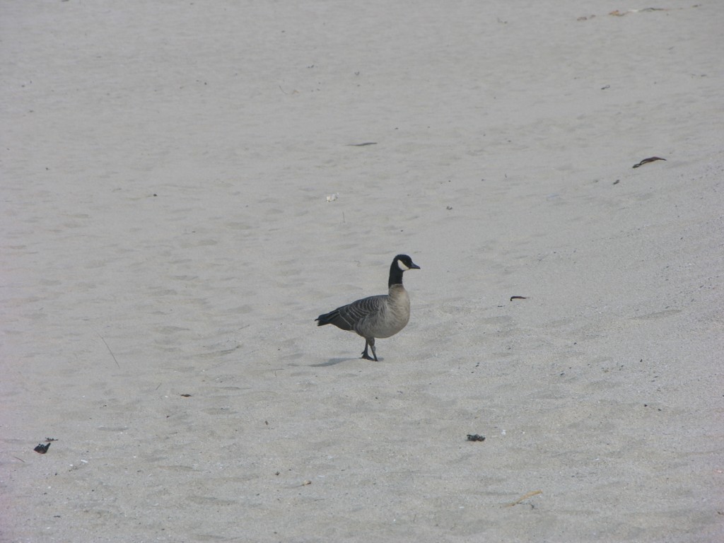 dscn1947.jpg