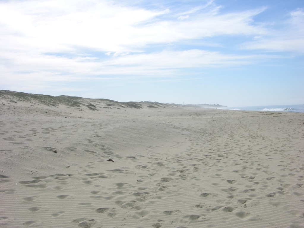 dscn1950.jpg