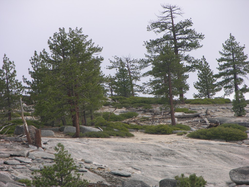 dscn1960.jpg