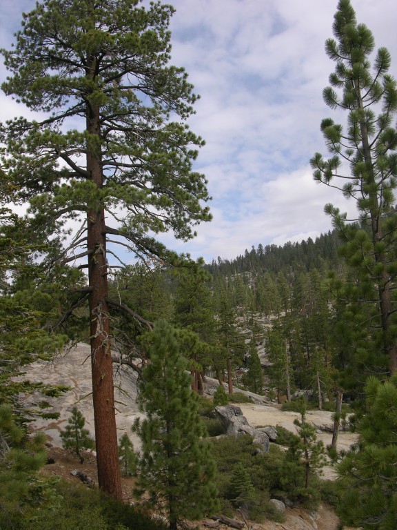 dscn1961.jpg