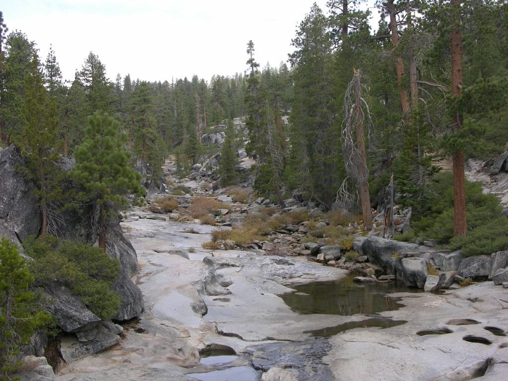 dscn1968.jpg