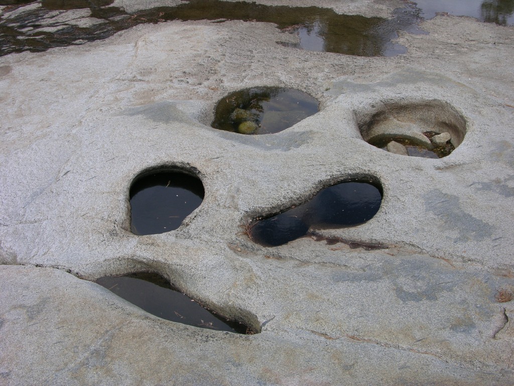 dscn1971.jpg