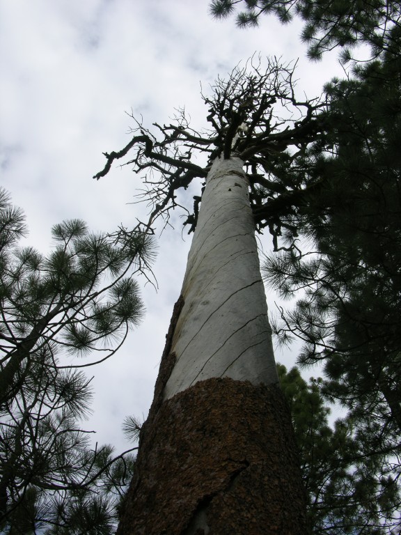 dscn1972.jpg