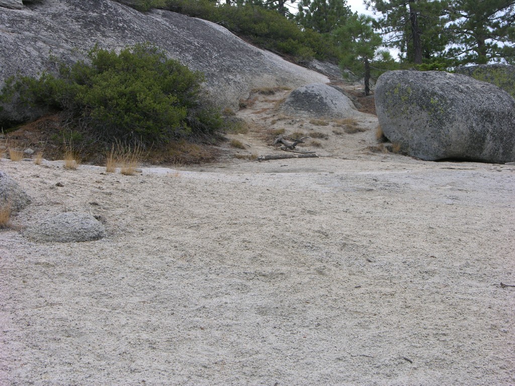 dscn1975.jpg