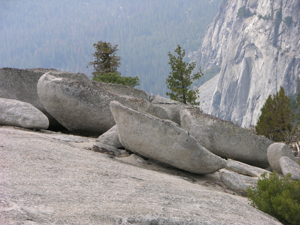 dscn1979.jpg