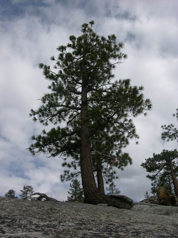 dscn1981.jpg