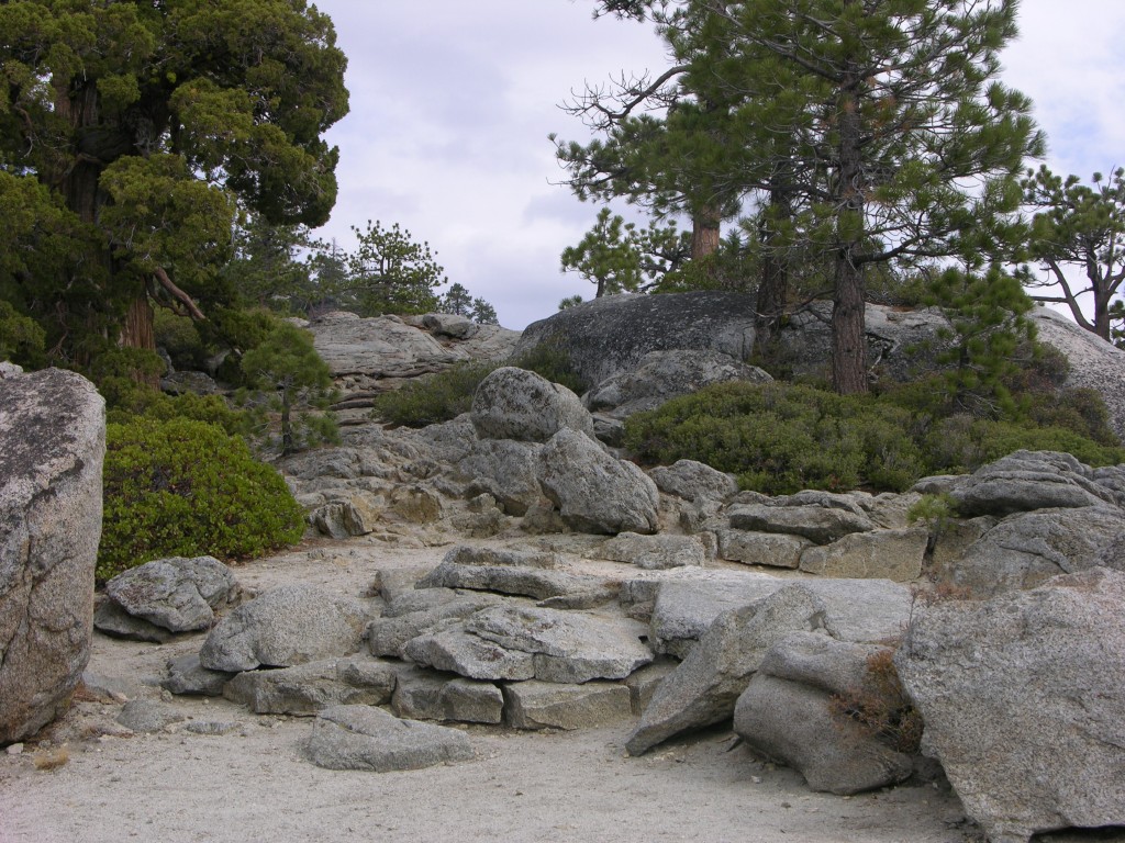 dscn1987.jpg