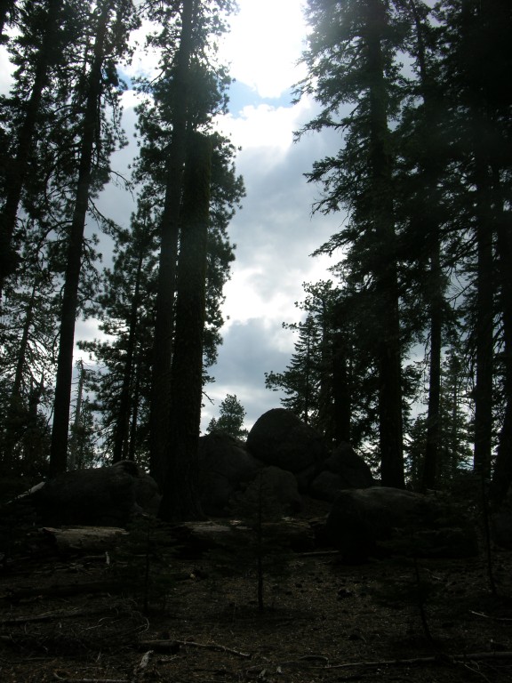dscn2005.jpg