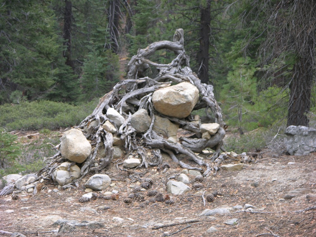 dscn2018.jpg