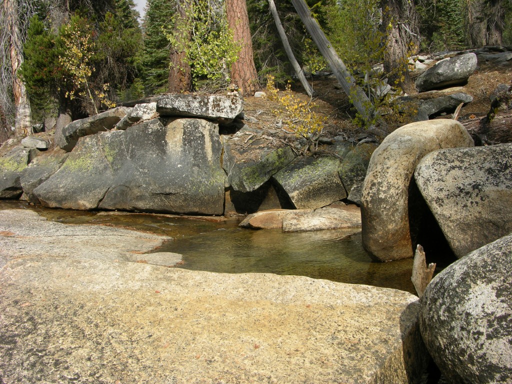 dscn2021.jpg